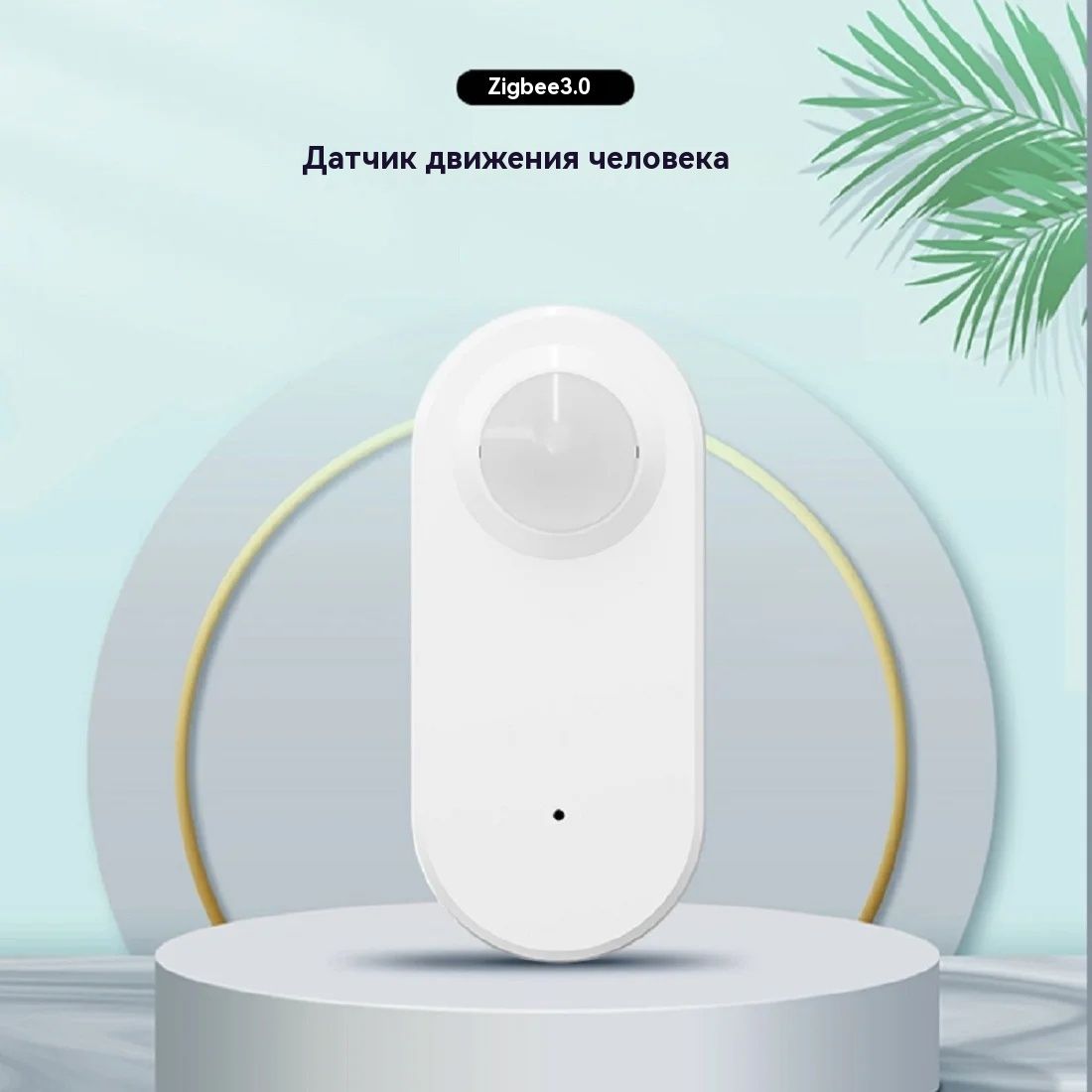 Tuya WiFi Human PIR Motion Sen - Home Assistant Tuya review and price